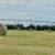 HAY FOR SALE 3 thumbnail
