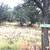 Last Frontier 10 acres Catron County With Community Well-OWC 0% Int. 2 thumbnail