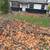 LEAF REMOVAL & CLEANUP - CURBSIDE PICKUP STARTING AT $100 5 thumbnail