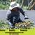 **Lawn and Maintenance Services, Quality & Excellence-Free Estimates** 24 thumbnail
