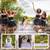 PROFESSIONAL PHOTOGRAPHER, VIDEOGRAPHER, OFFICIANT 14 thumbnail