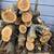 Lot of Apple Wood for Smoking (Unseasoned, Needs Splitting, Etc.) 1 thumbnail