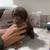 Doberman puppies 3 thumbnail