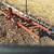 Tractor  Spring tooth  7 ft. 2 thumbnail