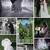 Photographer - Local - Graduation - Family - Wedding 2 thumbnail
