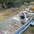 14' Jon boat with 55 lb electric motor and trailer 2 thumbnail