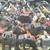 String trimmers, Edgers, WeedEaters, Engines, Attachments, More.  SE 1 thumbnail