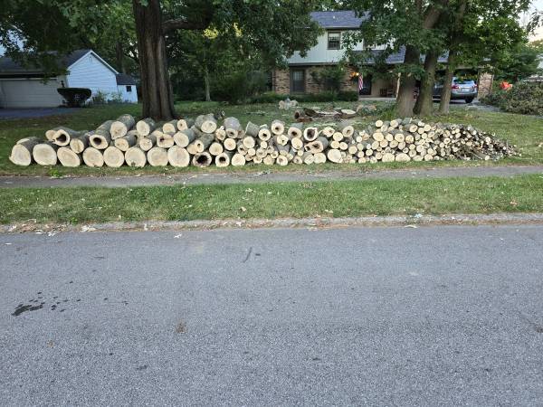 Free Firewood Curbside 1