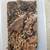 Isopod colonies 5 thumbnail