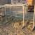 Free standing metal feeders 2 thumbnail