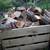 Firewood cutoffs - seasoned hardwood 2 thumbnail