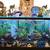 80 gal fish tank with stand and extras 14 thumbnail