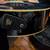 Greg Bennett acoustic/electric bass 5 thumbnail