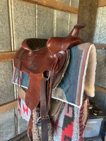 Western trail saddle 1