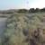 Over 1/2 Acre vacant land in reseidential area. Water/ Power next door 9 thumbnail