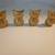 FOUR GOLD SOLID BRASS TYPE FAMILY OF OWLS (BRAND NEW) 2 thumbnail