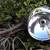 VERY RARE MILLER CHROME HEAD LIGHT BICYCLE 2 thumbnail