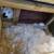 Rabbits 6 thumbnail