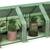 Outdoor Portable Gardening Mini Green House with PE Cover 1 thumbnail