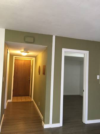$2,300 / 1br - 750ft2 - MUST SEE! Spacious In-law (daly city)63845957380993122