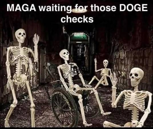 MAGA Maggots Are Still Waiting For Those DOGE Checks 1