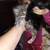 3 kittens 1 thumbnail