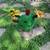 Cactus Rustic Steel Statue 2 thumbnail