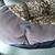 Cat Bed 4 thumbnail