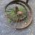 Tractor/dock wheels 1 thumbnail