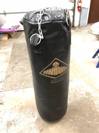 Century Pumching Bag 1