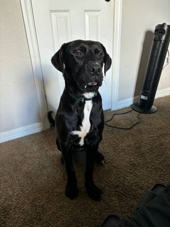 rehoming lab 1