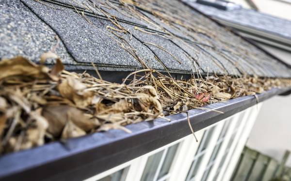 💧Gutter Cleaning 💧Roof Cleaning 💧Gutter Repair 💧 1