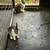 Dutch rabbits 1 thumbnail