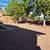 YARD SERVICES & CLEANUPS – PRESCOTT AREA 🌵 8 thumbnail