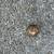 2 inch Trailer Hitch Ball 2 thumbnail