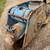 Cushman - 715 Deluxe Highlander 6 thumbnail