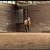 Barrel horse 18 thumbnail