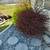 Ayer lawn care 2 thumbnail