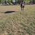 9 Thoroughbred Gelding 3 thumbnail