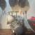 Polaris Sportsman 500 H.O engine 1 thumbnail