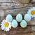 TRUE BLUE CELADON QUAIL HATCHING EGGS 7 thumbnail