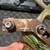Bowtech Guardian 6 thumbnail