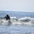 NIKON 300MM F2.8 ED MANUAL FOCUS LENS 17 thumbnail