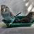 Budgies 1 thumbnail