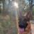 Show Dog | German Shepherd 1 thumbnail