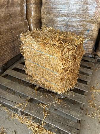 Straw Small bales 1