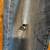 Distressed Ripped Lucky Brand 181 Blue Jeans 40 x 32 Relaxed Straight 3 thumbnail