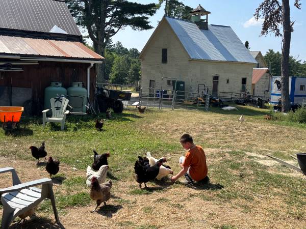$150 / 1br - 1000ft2 - Love horses? White mountains?63932058076163122