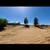 Skidsteer,bobcat work done and dump trailer 8 thumbnail