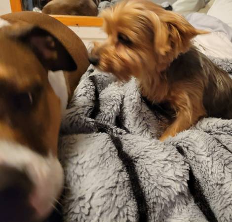 Please help her to get out of pain (Maplewood)64048993981057123
